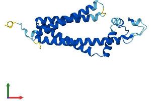 AlphaFold protein structure predicition of Mouse Recombinant Tspan13 Protein, UniprotID Q9D8C2 (TSPAN13 Protein (AA 1-204) (His tag))