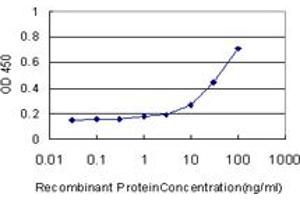 Detection limit for recombinant GST tagged GCLM is approximately 1ng/ml as a capture antibody. (GCLM antibody  (AA 1-274))