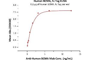 ELISA image for Tumor Necrosis Factor Receptor Superfamily, Member 17 (TNFRSF17) (AA 1-54) (Active) protein (Fc Tag) (ABIN2180644)