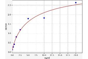 ELISA image for Collagen, Type I, alpha 2 (COL1A2) ELISA Kit (ABIN6965935)