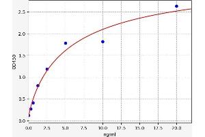 Typical standard curve (COL1A2 ELISA Kit)