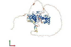 Protein Structure (PS) image for PHD Finger Protein 1 (PHF1) (AA 1-567) protein (His tag) (ABIN7554950)