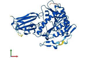AlphaFold protein structure predicition of Mouse Recombinant Acnat2 Protein, UniprotID Q8BGG9 (Acyl-Coenzyme A Amino Acid N-Acyltransferase 2 (ACNAT2) (AA 1-420) protein (His tag))