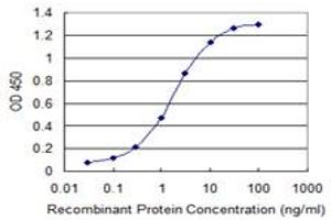 Detection limit for recombinant GST tagged CNOT7 is 0. (CNOT7 antibody  (AA 1-285))