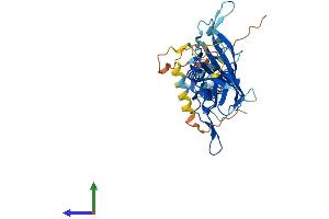 AlphaFold protein structure predicition of Human Recombinant KCNJ10 Protein, UniprotID P78508