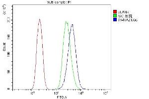 Flow Cytometry analysis of PC-3 cells using anti-14-3-3 zeta/delta antibody (ABIN7602973). (14-3-3 zeta antibody  (Middle Region))