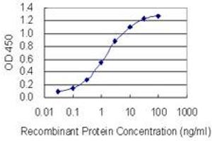 Detection limit for recombinant GST tagged HNRNPC is 0. (HNRNPC antibody  (AA 1-250))