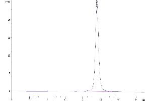 The purity of Human FGL1 is greater than 95 % as determined by SEC-HPLC. (FGL1 Protein (AA 64-305) (His-Avi Tag))