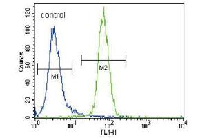 Flow Cytometry (FACS) image for anti-Runt-Related Transcription Factor 2 (RUNX2) antibody (ABIN3003461) (RUNX2 antibody)