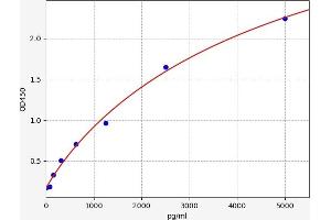 FOXJ1 ELISA Kit