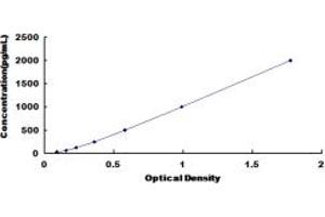Typical standard curve (IL12A ELISA Kit)