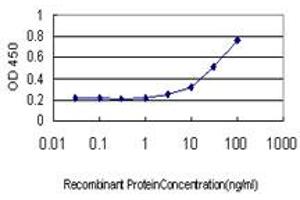 Detection limit for recombinant GST tagged GREM1 is approximately 3ng/ml as a capture antibody. (GREM1 antibody  (AA 75-184))