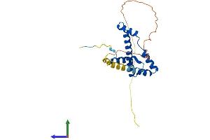 Protein Structure (PS) image for TATA Box Binding Protein Associated Factor 11 (TAF11) (AA 1-211) protein (His tag) (ABIN7544225)