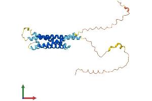 AlphaFold protein structure predicition of Mouse Recombinant Ms4a10 Protein, UniprotID Q99N03 (MS4A12 Protein (AA 1-267) (His tag))