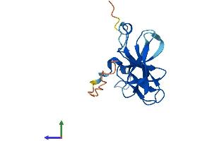 AlphaFold protein structure predicition of Human Recombinant FAM72A Protein, UniprotID Q5TYM5