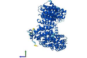 Protein Structure (PS) image for Transportin 3 (TNPO3) (AA 1-923) protein (His tag) (ABIN7555802)