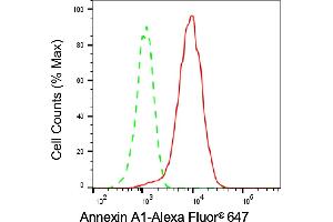 Flow cytometric analysis of Annexin A1 expression in HepG2 cells using Annexin A1 antibody (ABIN7797614), 1:2,000).