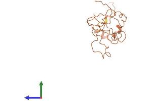 AlphaFold protein structure predicition of Human Recombinant KRTAP4-5 Protein, UniprotID Q9BYR2