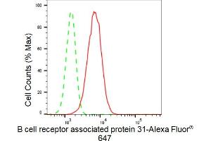 Flow cytometric analysis of B cell receptor associated protein 31 expression in HepG2 cells using B cell receptor associated protein 31 antibody (ABIN7797723), 1:2,000).