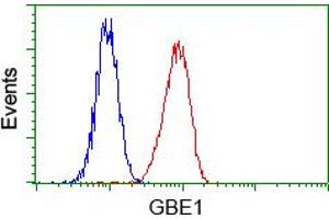 Flow cytometric analysis of Hela cells, using anti-GBE1 antibody (ABIN2453066), (Red) compared to a nonspecific negative control antibody (TA50011) (Blue). (GBE1 antibody)