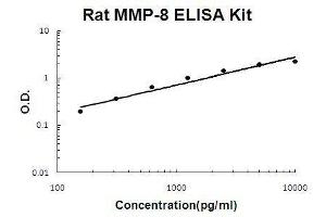 Rat MMP-8 PicoKine ELISA Kit standard curve