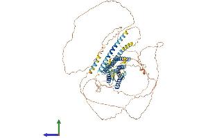 Protein Structure (PS) image for G Protein-Coupled Receptor 156 (GPR156) (AA 1-798) protein (His tag) (ABIN7558037)