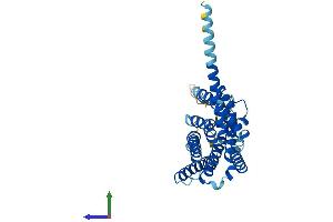 AlphaFold protein structure predicition of Mouse Recombinant Gpr18 Protein, UniprotID Q8K1Z6 (GPR18 Protein (AA 1-331) (His tag))