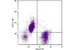 Human peripheral blood lymphocytes, monocytes, and granulocytes were stained with Mouse Anti-Human CD11c-PE. (CD11c antibody  (PE))