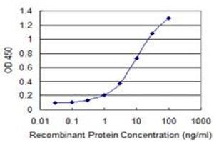 Detection limit for recombinant GST tagged GNL3 is 0. (Nucleostemin antibody  (AA 328-427))