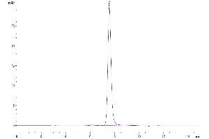 The purity of Human ICAM-1 is greater than 95 % as determined by SEC-HPLC. (ICAM1 Protein (AA 28-480) (His tag))