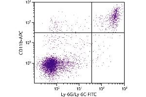 BALB/c mouse splenocytes were stained with Rat Anti-Mouse CD11b-APC. (CD11b antibody  (APC))