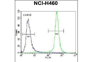 Flow cytometric analysis of NCI-H460 cells (right histogram) compared to a negative control cell (left histogram). (GABRA4 antibody  (AA 333-361))