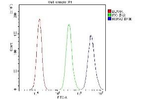 Flow Cytometry analysis of PC-3 cells using anti-HSPA2 antibody (ABIN3043850). (HSPA2 antibody  (C-Term))