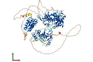 AlphaFold protein structure predicition of Mouse Recombinant Sfmbt2 Protein, UniprotID Q5DTW2 (SFMBT2 Protein (AA 1-938) (His tag))