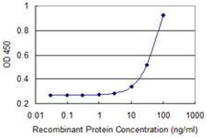 Detection limit for recombinant GST tagged LATS1 is approximately 10ng/ml as a capture antibody. (LATS1 antibody  (AA 521-620))