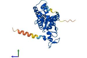 Protein Structure (PS) image for Non-SMC Element 1 Homolog (NSMCE1) (AA 1-266) protein (His tag) (ABIN7549991)