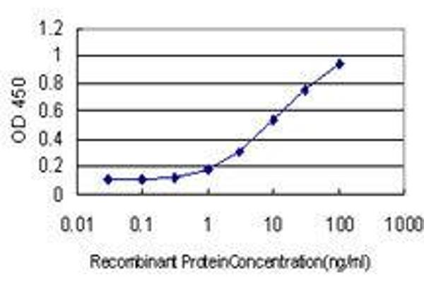 HERC3 antibody  (AA 1-110)