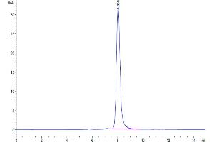 The purity of Rat CDCP1 is greater than 95 % as determined by SEC-HPLC. (CDCP1 Protein (AA 29-666) (His tag))