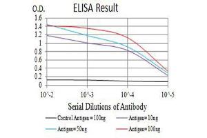 Black line: Control Antigen (100 ng),Purple line: Antigen (10 ng), Blue line: Antigen (50 ng), Red line:Antigen (100 ng) (APAF1 antibody  (AA 1138-1237))