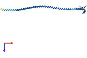 SPC24 Protein (AA 1-201) (His tag)