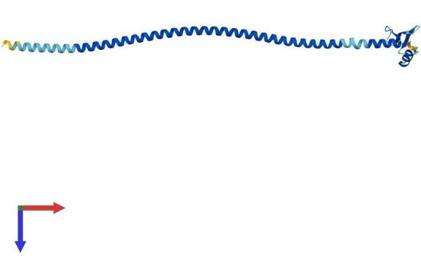 SPC24 Protein (AA 1-201) (His tag)