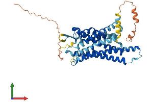 AlphaFold protein structure predicition of Mouse Recombinant Prokr2 Protein, UniprotID Q8K458