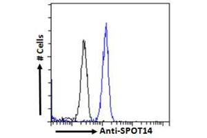 ABIN6391365 Flow cytometric analysis of paraformaldehyde fixed A431 cells (blue line), permeabilized with 0.