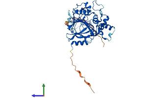 AlphaFold protein structure predicition of Mouse Recombinant Alkbh1 Protein, UniprotID P0CB42