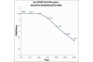 Antigen: 0. (MST1/MST2 (pThr180), (pThr183) antibody)