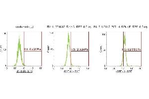 Flow Cytometry (FACS) image for anti-Osteoactivin (GPNMB) (AA 22-474) antibody (PE) (ABIN5566465) (Osteoactivin antibody  (AA 22-474) (PE))