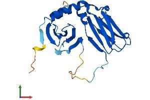 AlphaFold protein structure predicition of Human Recombinant DPCD Protein, UniprotID Q9BVM2 (DPCD Protein (AA 1-203) (His tag))