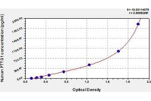 PTTG1 ELISA Kit