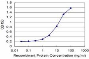 Detection limit for recombinant GST tagged BSND is approximately 1ng/ml as a capture antibody. (BSND antibody  (AA 221-320))