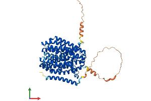 AlphaFold protein structure predicition of Mouse Recombinant Slc47a1 Protein, UniprotID Q8K0H1 (SLC47A1 Protein (AA 1-567) (His tag))